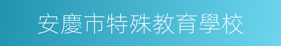 安慶市特殊教育學校的同義詞