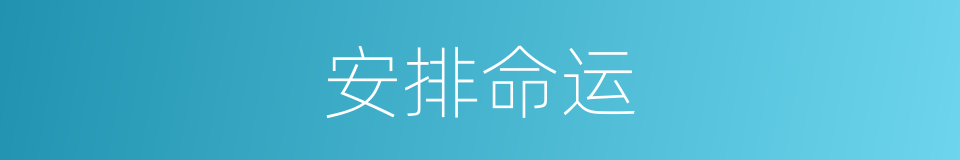 安排命运的同义词