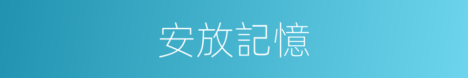 安放記憶的同義詞