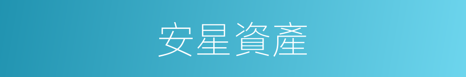 安星資產的同義詞