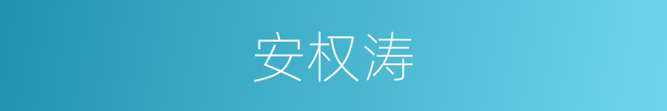 安权涛的同义词