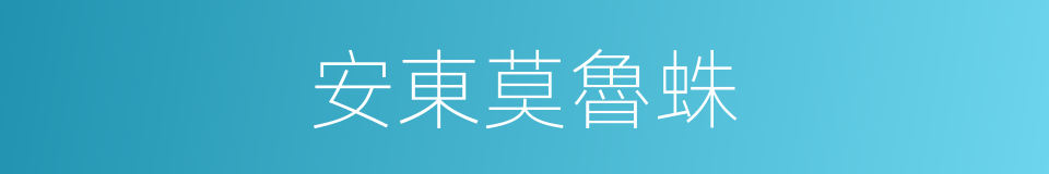 安東莫魯蛛的同義詞