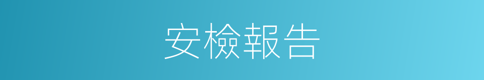 安檢報告的同義詞