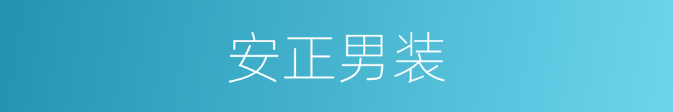 安正男装的同义词