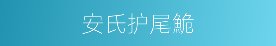 安氏护尾鮠的同义词