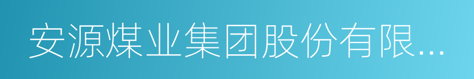 安源煤业集团股份有限公司的同义词