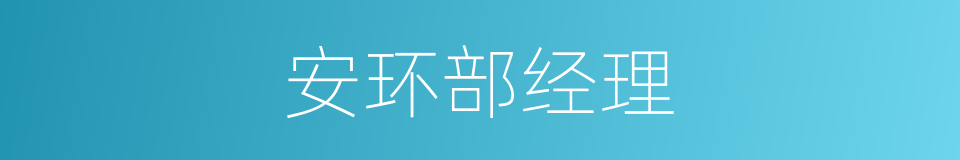 安环部经理的同义词