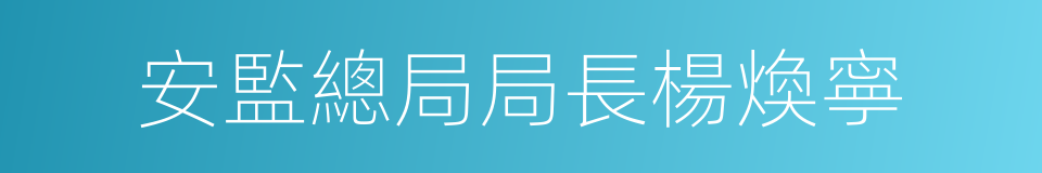 安監總局局長楊煥寧的同義詞