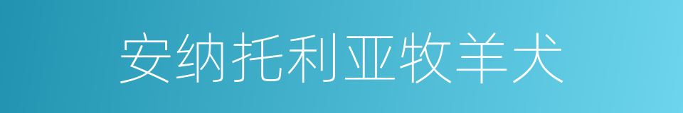 安纳托利亚牧羊犬的同义词