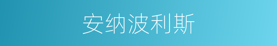 安纳波利斯的同义词