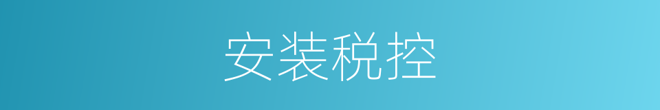 安装税控的同义词