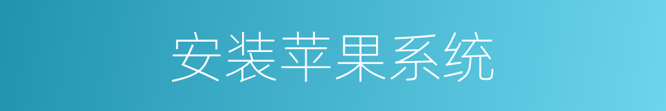 安装苹果系统的同义词