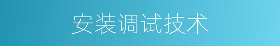 安装调试技术的同义词