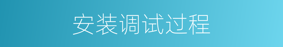 安装调试过程的同义词