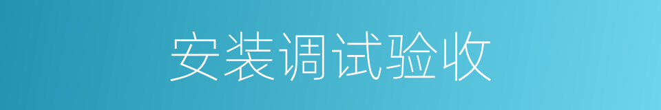 安装调试验收的同义词
