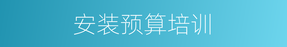 安装预算培训的同义词