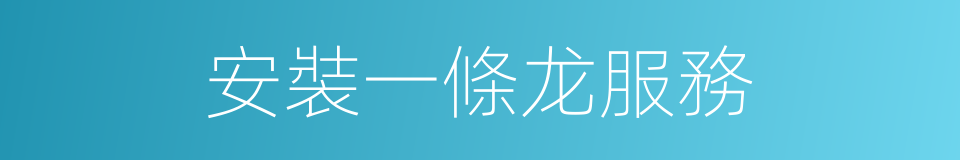 安裝一條龙服務的同義詞