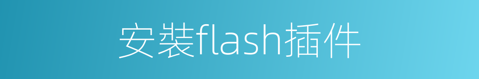 安裝flash插件的同義詞