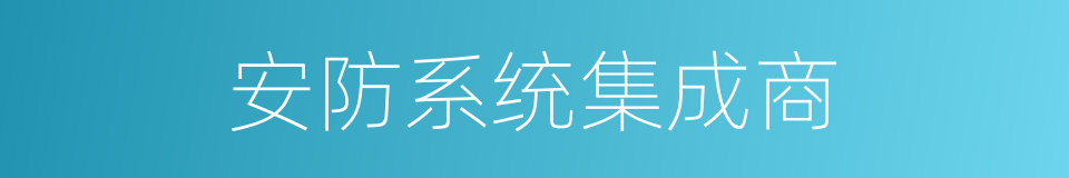 安防系统集成商的同义词