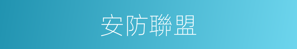 安防聯盟的同義詞