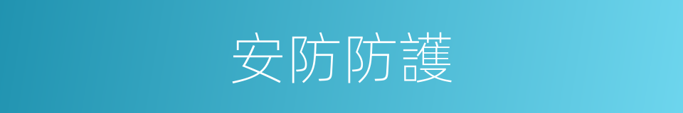 安防防護的同義詞