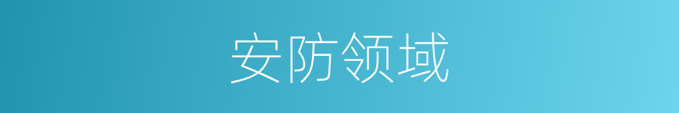 安防领域的同义词