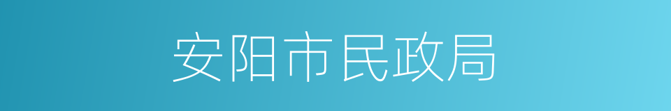 安阳市民政局的同义词