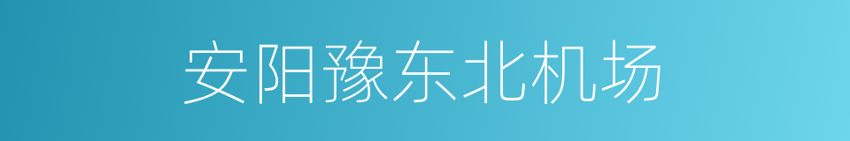 安阳豫东北机场的同义词