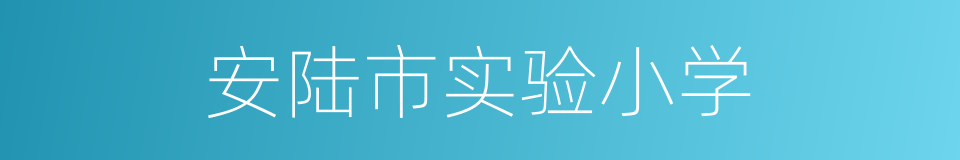 安陆市实验小学的同义词