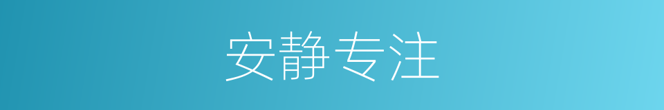 安静专注的同义词