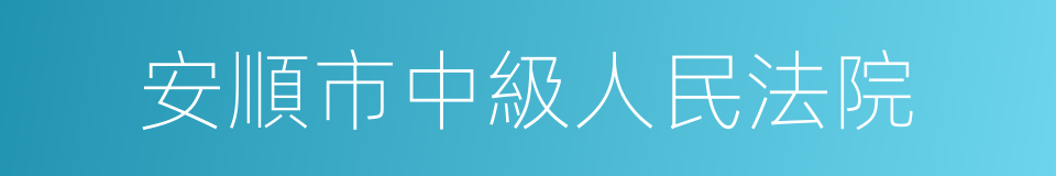 安順市中級人民法院的同義詞