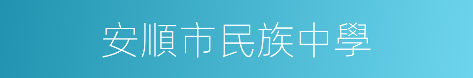 安順市民族中學的同義詞