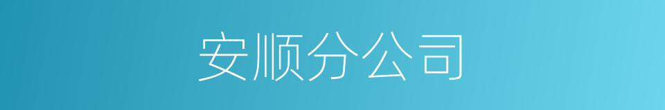 安顺分公司的同义词