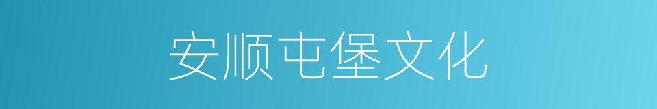 安顺屯堡文化的同义词