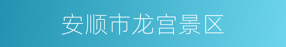 安顺市龙宫景区的同义词
