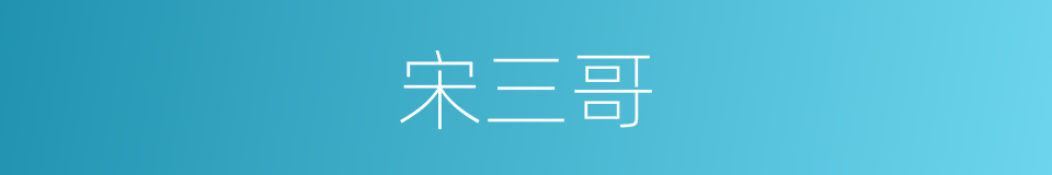 宋三哥的同义词