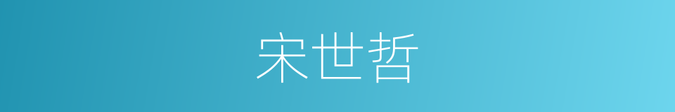 宋世哲的同义词