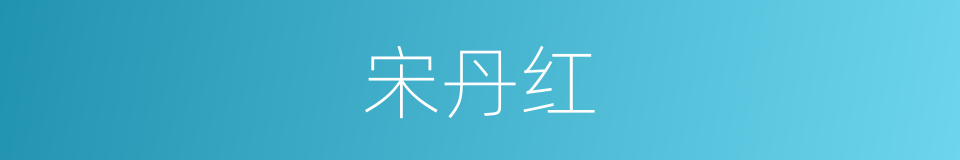 宋丹红的同义词