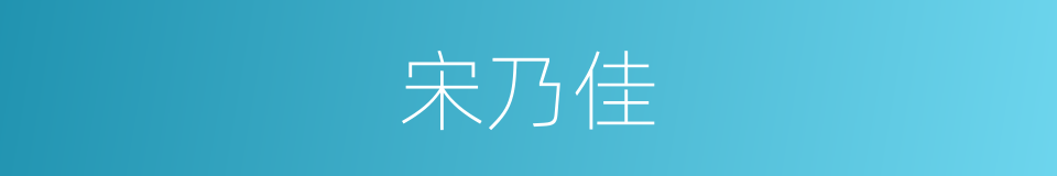 宋乃佳的同义词