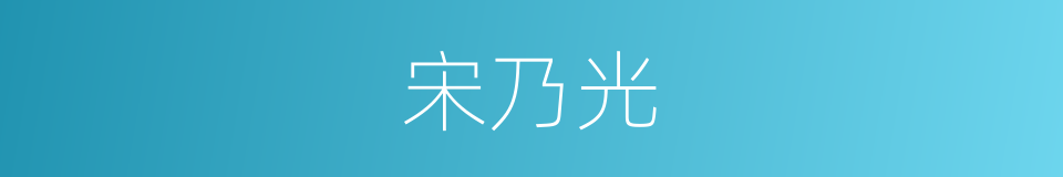 宋乃光的同义词