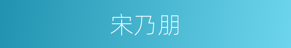 宋乃朋的同义词