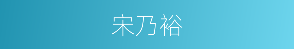 宋乃裕的同义词