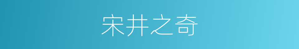 宋井之奇的同义词