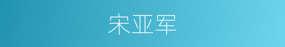宋亚军的同义词