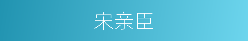 宋亲臣的同义词