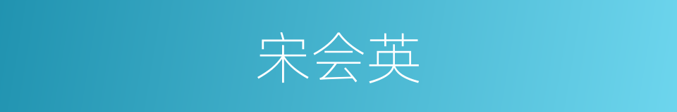 宋会英的同义词