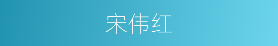 宋伟红的同义词