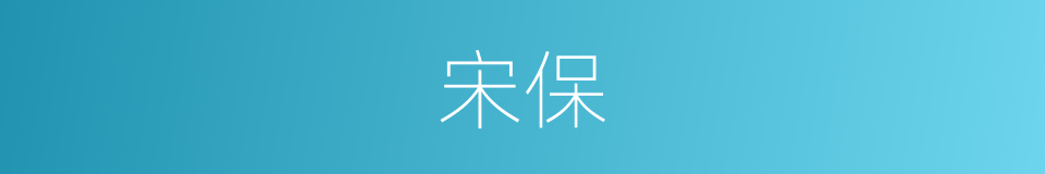 宋保的同义词
