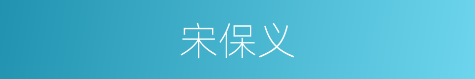 宋保义的同义词