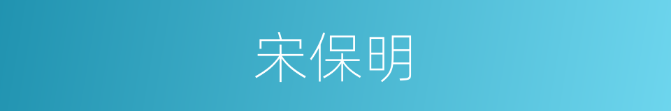 宋保明的同义词